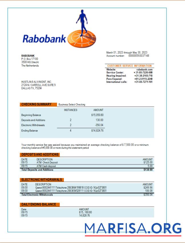 Printable Rabobank bank organization account statement Word and PDF template